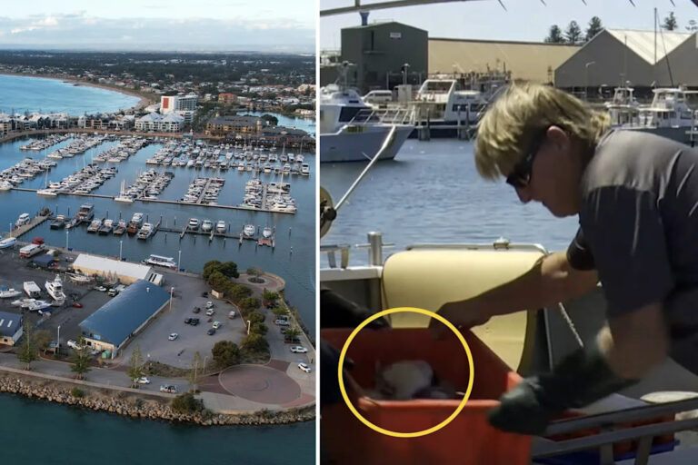western-australia-fishing-ban-sparks-outcry-and-economic-concerns