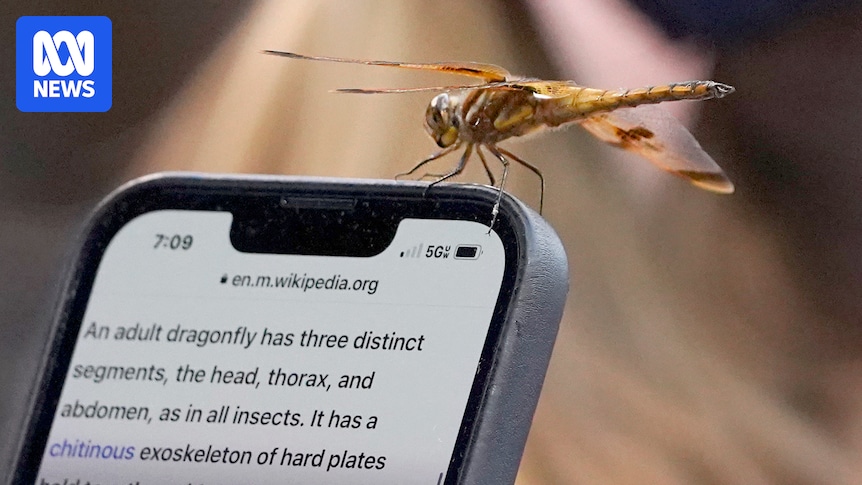 wikipedia-at-25-celebrating-milestones-amid-ongoing-debates