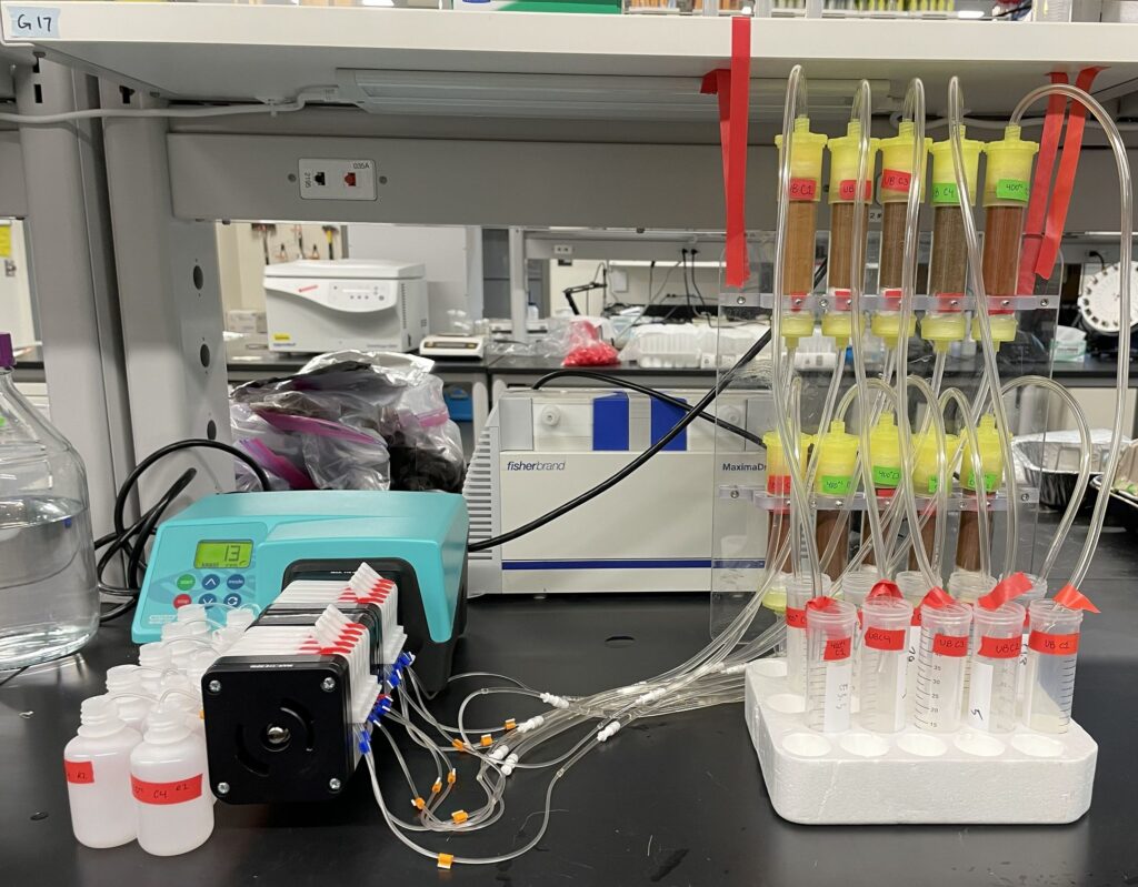 wildfires-turn-soil-minerals-into-toxic-threats-new-study-reveals