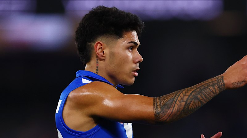 young-kangaroo-recovers-after-life-saving-surgery-in-bali