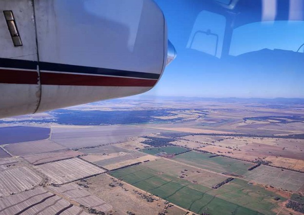 airborne-hyperspectral-imaging-revolutionizes-koala-habitat-mapping