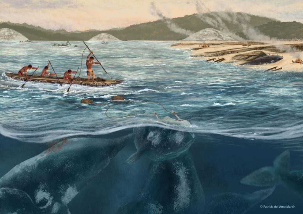 ancient-whaling-practices-uncovered-in-brazil-a-5-000-year-old-tradition