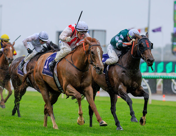Flemington Race Day, Champions Day: