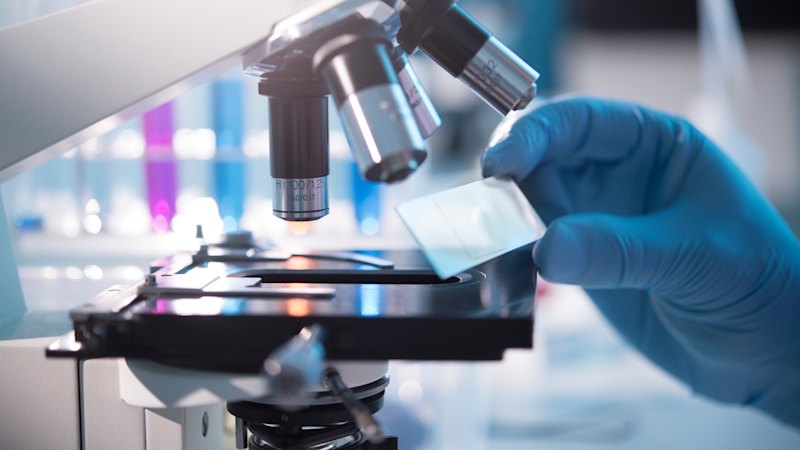 australia-s-medical-research-funding-crisis-90-of-grants-rejected-despite-25-billion-fund