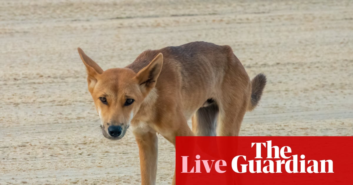 australian-government-faces-tough-decisions-amidst-international-and-domestic-challenges