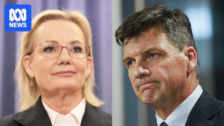 australian-liberals-face-leadership-crisis-amid-plummeting-polls