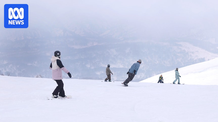 australians-assure-safety-of-japan-s-ski-fields-amid-recent-tragedies