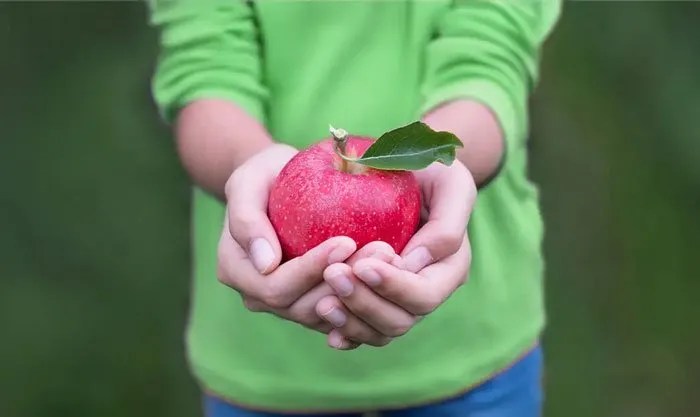 bowel-cancer-emerges-as-deadliest-cancer-among-young-australians