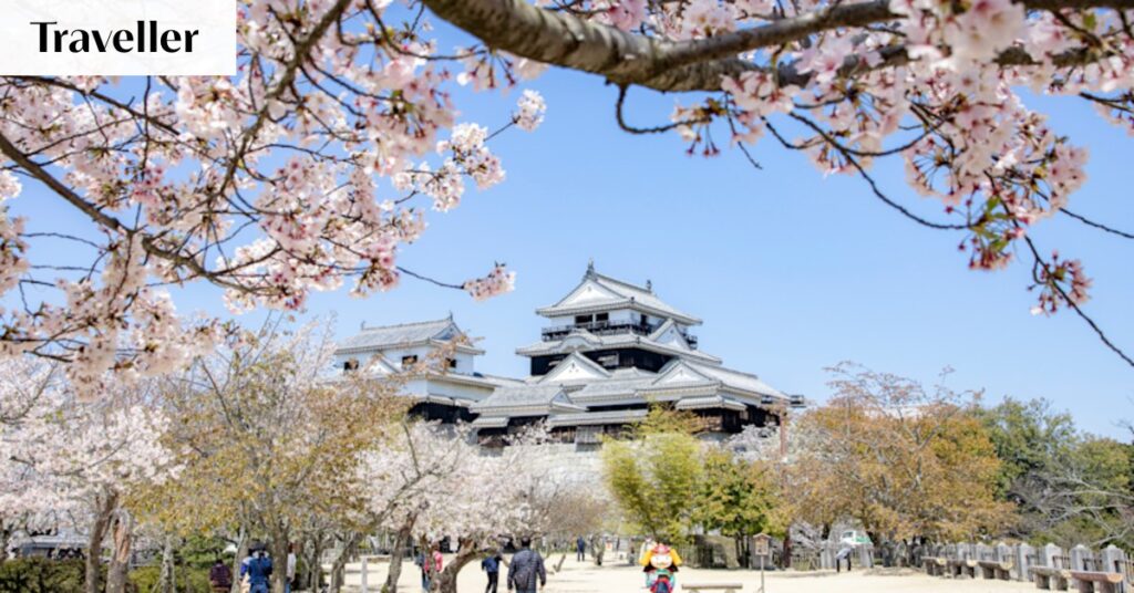 discovering-matsuyama-japan-s-hidden-citrus-kingdom