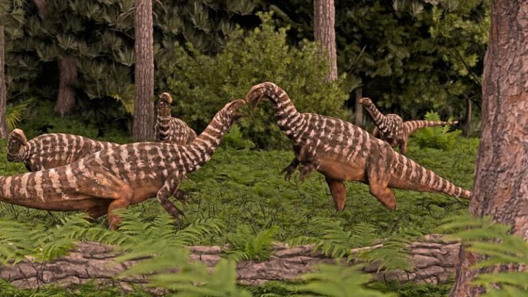 discovery-of-australia-s-oldest-dinosaur-fossil-redefines-prehistoric-timeline
