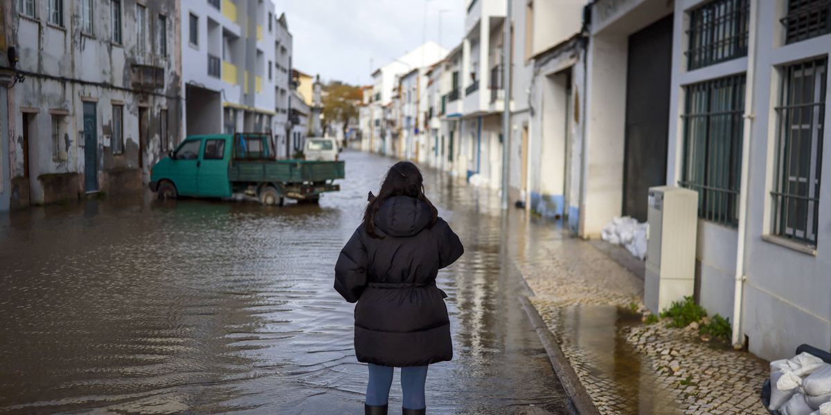 economic-models-underestimate-climate-risks-warn-scientists