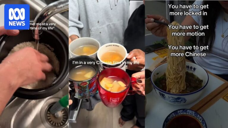 gen-z-embraces-chinese-culture-on-social-media-a-surprising-trend