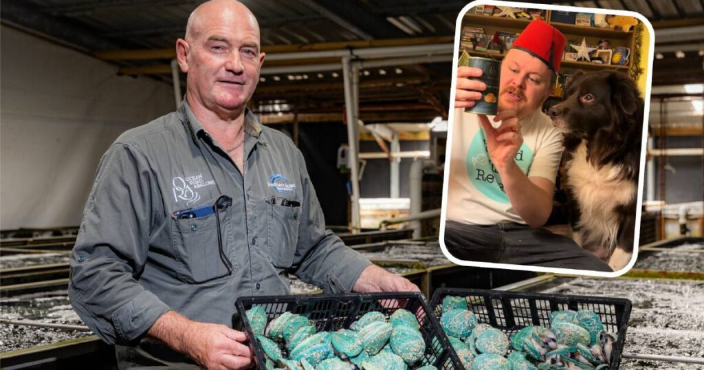 global-demand-for-port-fairy-s-abalone-skyrockets-after-viral-tiktok-review