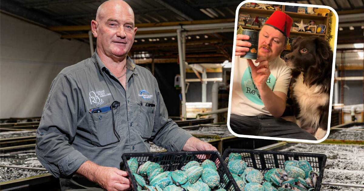 global-demand-for-port-fairy-s-abalone-skyrockets-after-viral-tiktok-review