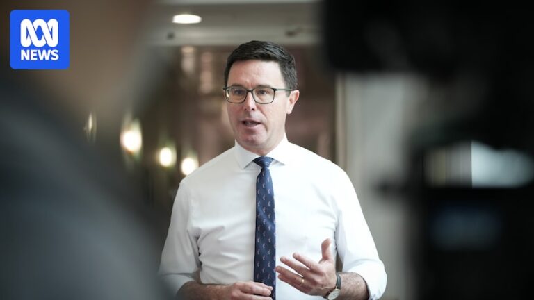 nationals-leadership-turmoil-littleproud-open-to-ley-meeting-after-spill-resolution