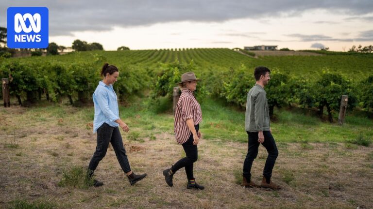 navigating-legacy-and-innovation-the-complexities-of-family-owned-farms