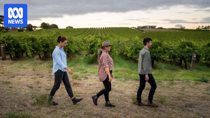 navigating-legacy-and-innovation-the-complexities-of-family-owned-farms