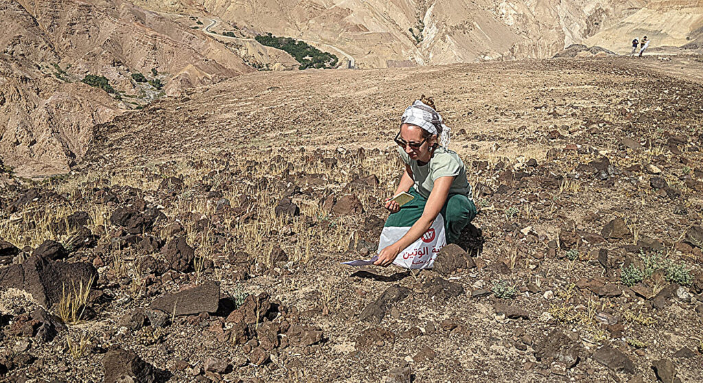 new-study-redefines-ancient-origins-of-wheat-barley-and-rye