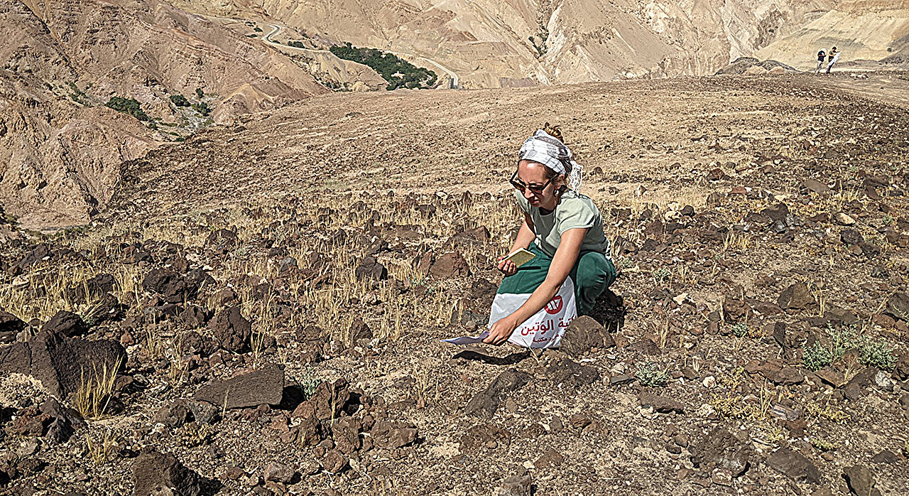 new-study-redefines-ancient-origins-of-wheat-barley-and-rye