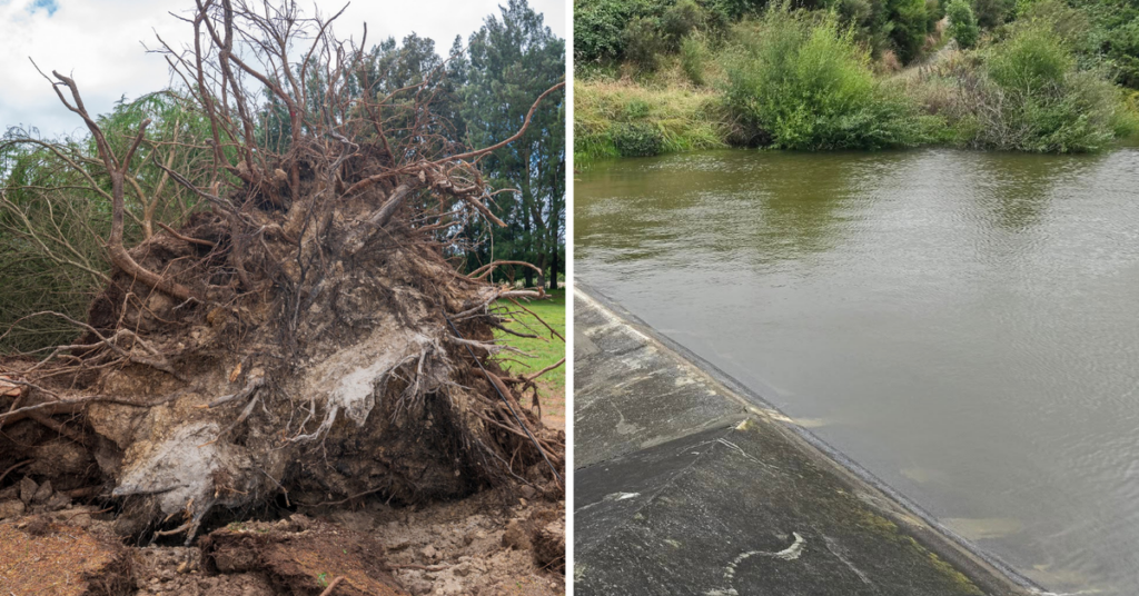 new-zealand-battered-by-storms-250mm-rainfall-floods-and-power-outages