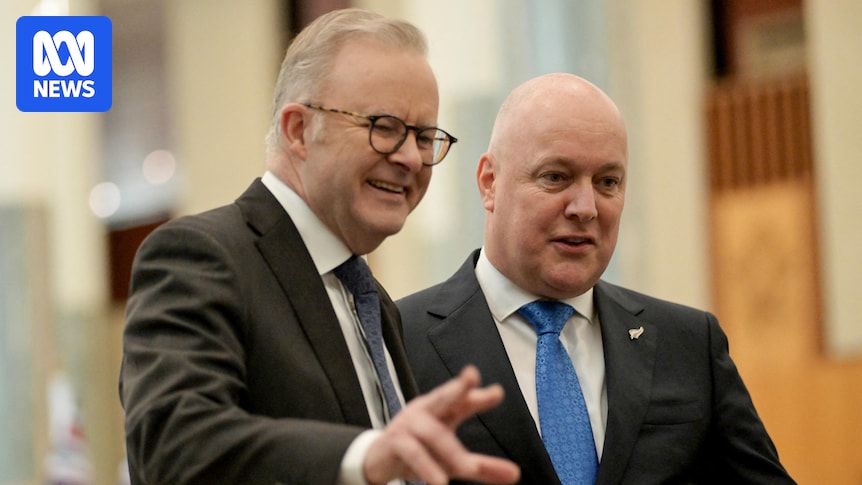 new-zealand-rejects-trump-s-board-of-peace-as-global-reactions-vary