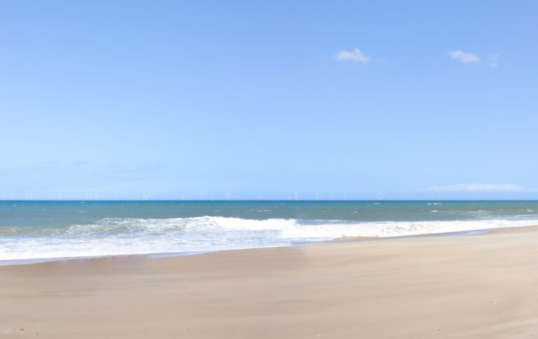 offshore-wind-farm-faces-local-opposition-amid-federal-review