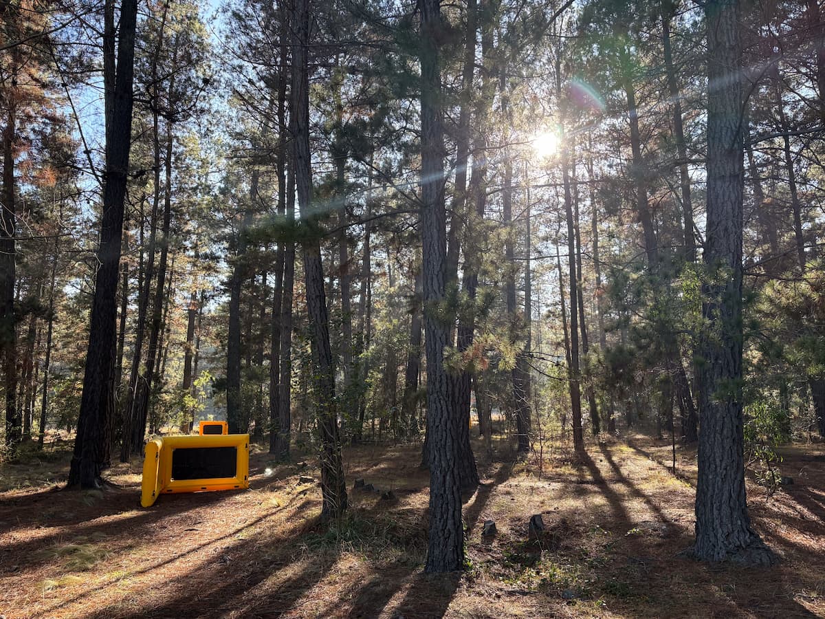 outdoor-laser-tag-revolutionizes-canberra-s-recreational-scene