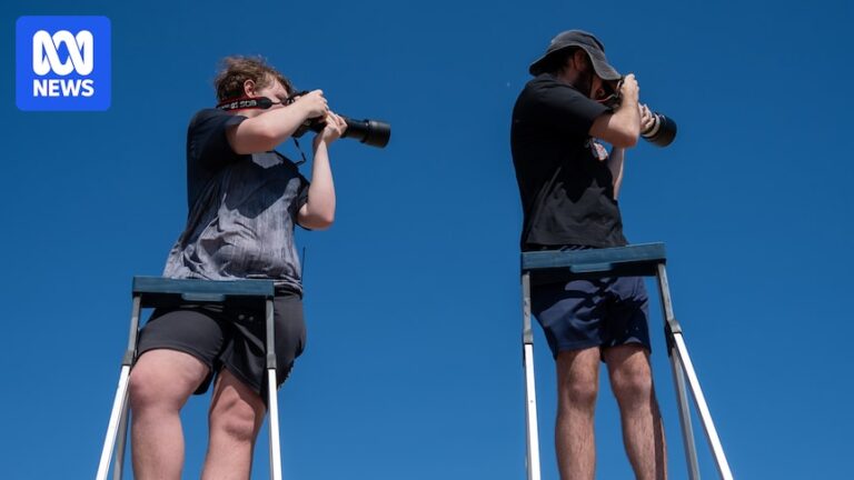 plane-spotters-seek-dedicated-viewing-area-at-adelaide-airport-amid-growing-challenges