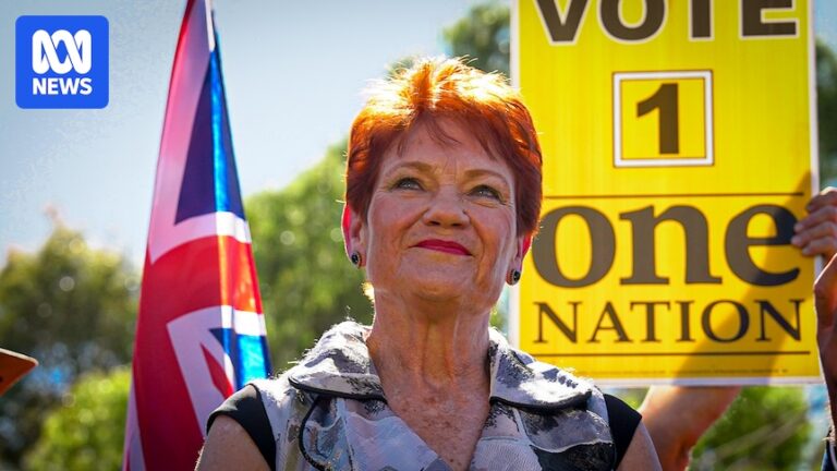 police-probe-into-pauline-hanson-s-controversial-comments-sparks-debate