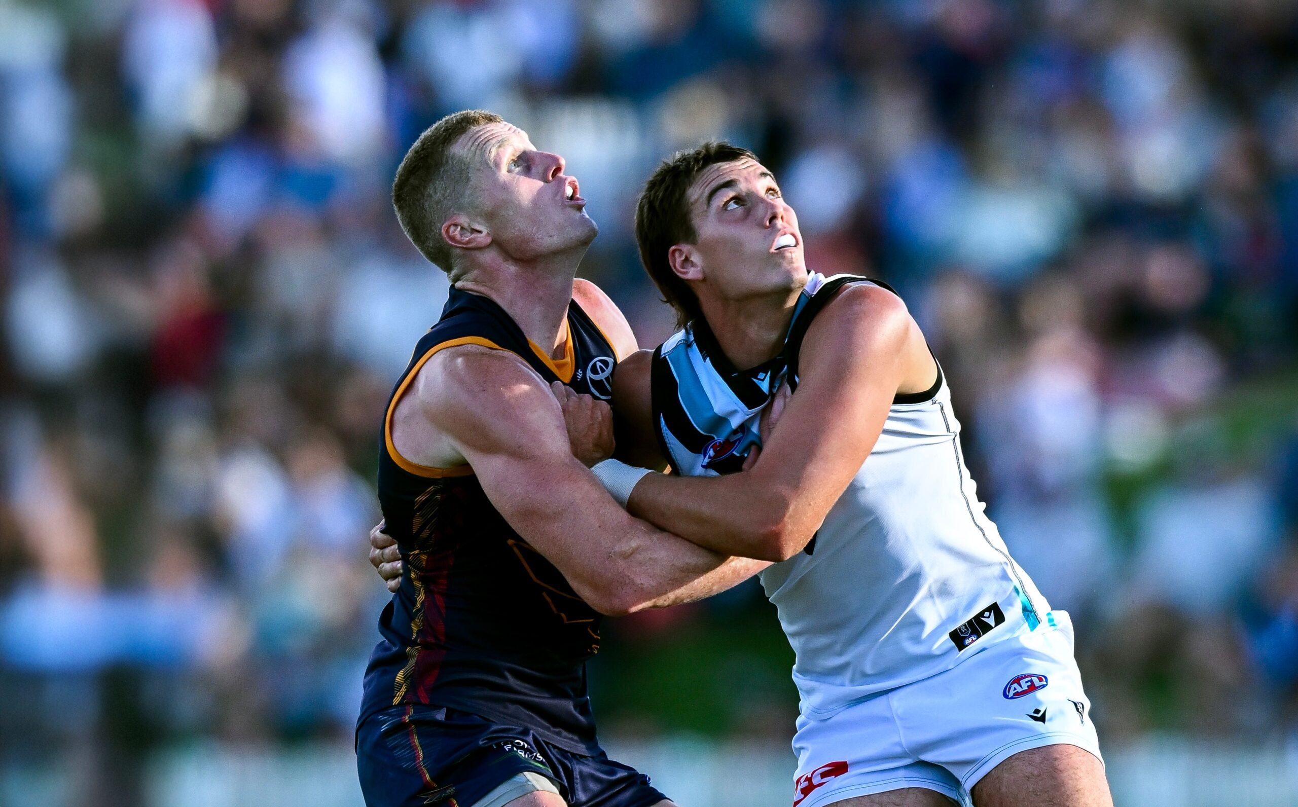 port-adelaide-unveils-squad-for-afl-match-simulation-against-adelaide