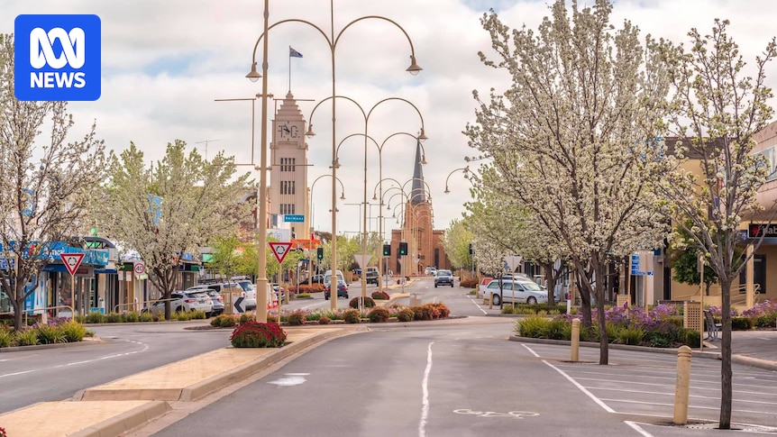 regional-councils-diverging-approaches-to-car-parking-a-closer-look