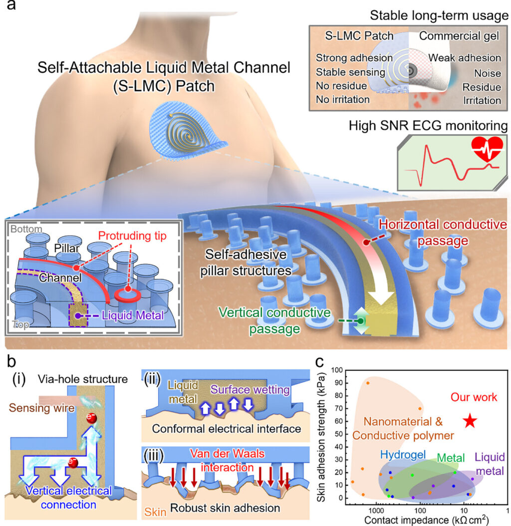 revolutionary-ecg-patch-eliminates-gel-enhances-wearability