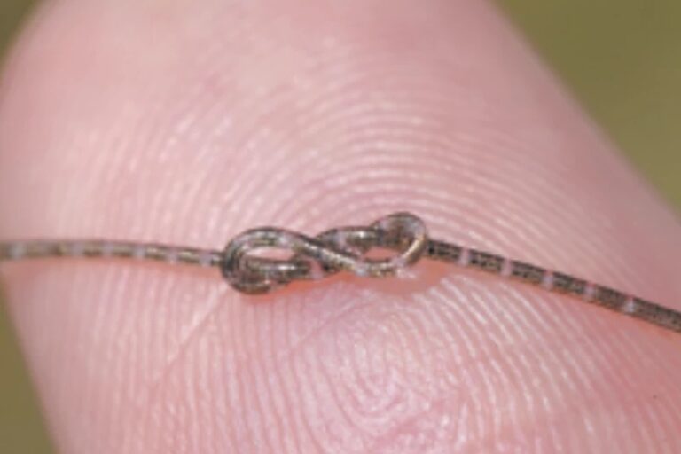 revolutionary-fibre-chips-a-breakthrough-in-wearable-technology