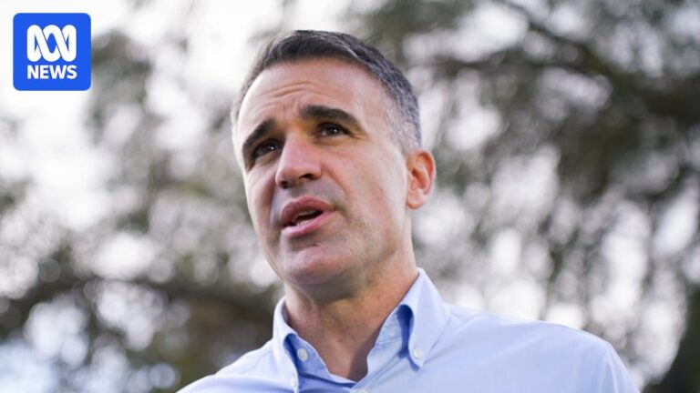 south-australia-election-one-nation-s-rise-challenges-major-parties