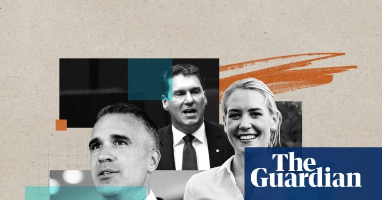 south-australia-s-political-landscape-shifts-as-one-nation-rises