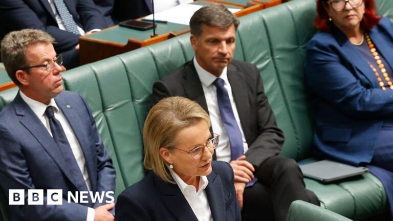 sussan-ley-faces-leadership-crisis-as-angus-taylor-resigns