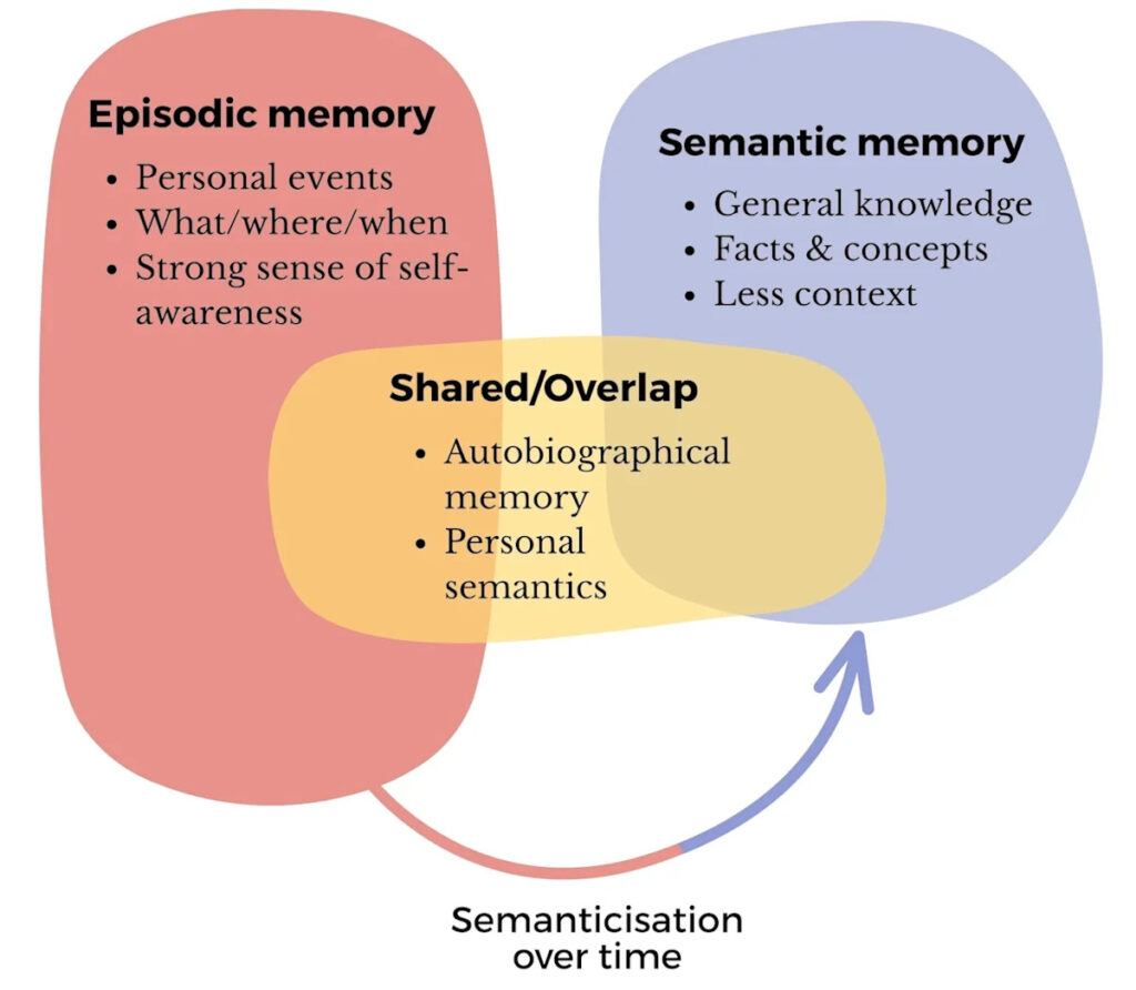 the-intricate-ties-between-memory-and-identity-understanding-the-complexities