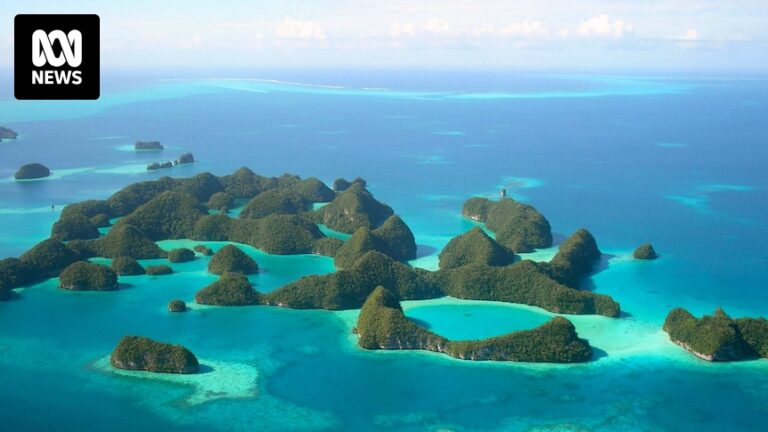 us-bars-palau-senate-president-and-former-marshall-islands-mayor-over-corruption-allegations