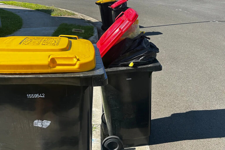 waste-to-energy-debate-intensifies-in-new-south-wales-amid-landfill-crisis