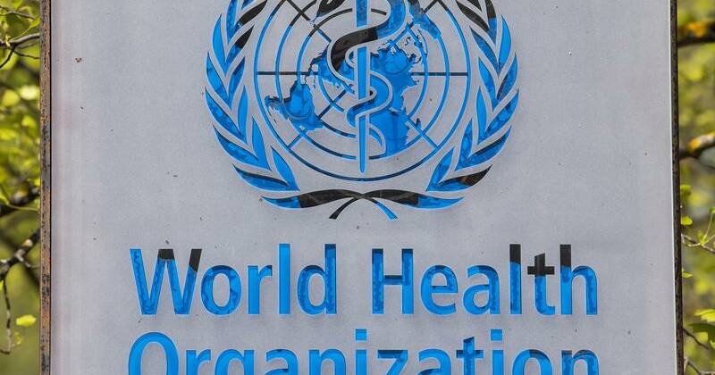 who-assesses-low-risk-of-nipah-virus-spread-beyond-india