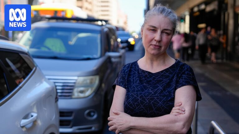 adelaide-s-controversial-park-safe-vehicle-under-review-amid-accuracy-concerns