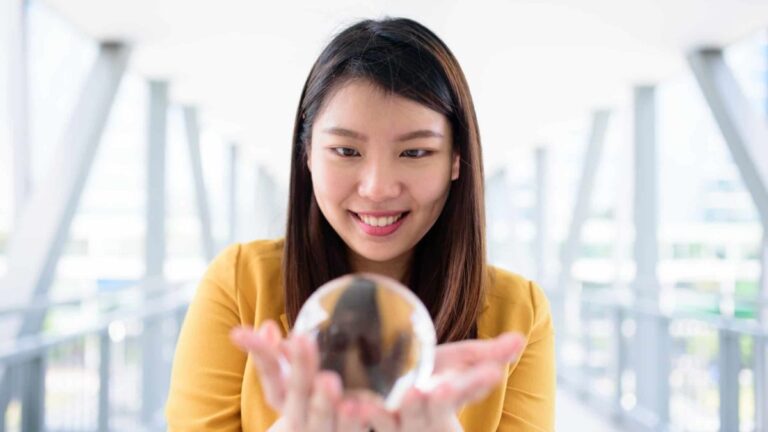 aristocrat-leisure-shares-plunge-is-now-the-time-to-invest-