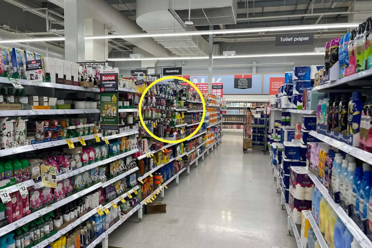 australia-faces-new-ban-on-harmful-rodent-baits-what-it-means-for-homeowners