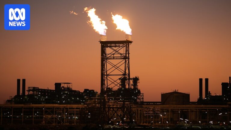 australia-s-biodiversity-progress-report-omits-fossil-fuel-subsidies