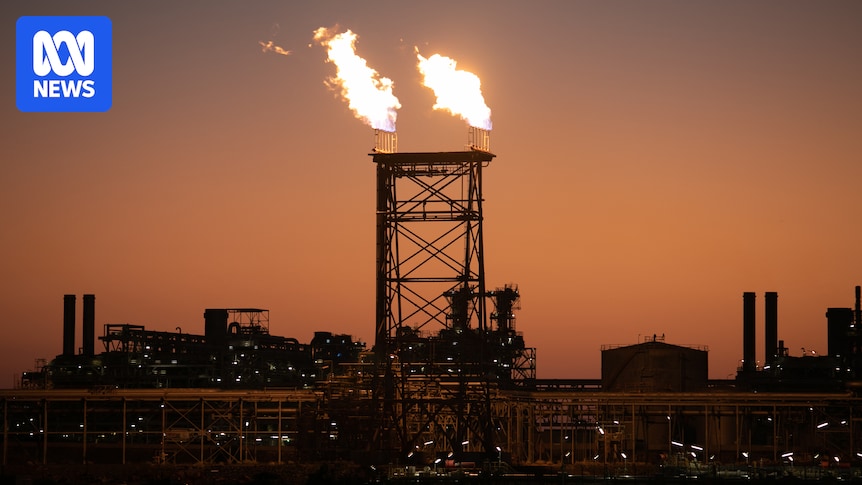 australia-s-biodiversity-progress-report-omits-fossil-fuel-subsidies