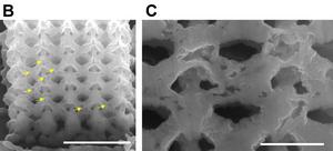 breakthrough-in-nano-engineering-caltech-s-tiny-3d-metallic-parts