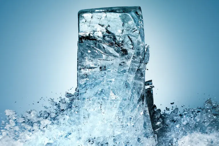 fungal-proteins-a-new-frontier-in-ice-formation-research