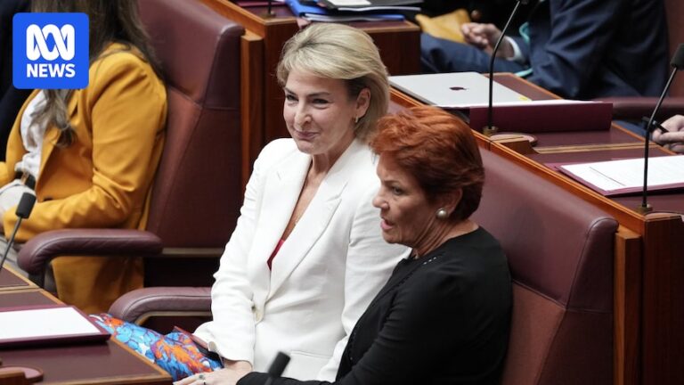 hanson-censured-for-comments-on-muslims-amid-political-tensions