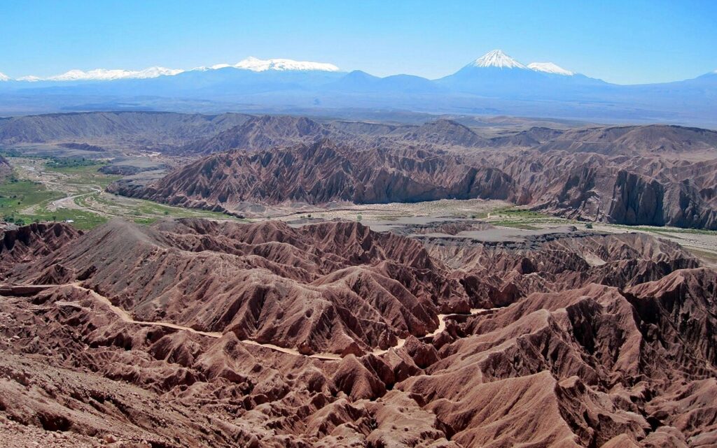 hidden-life-thrives-beneath-chile-s-atacama-desert