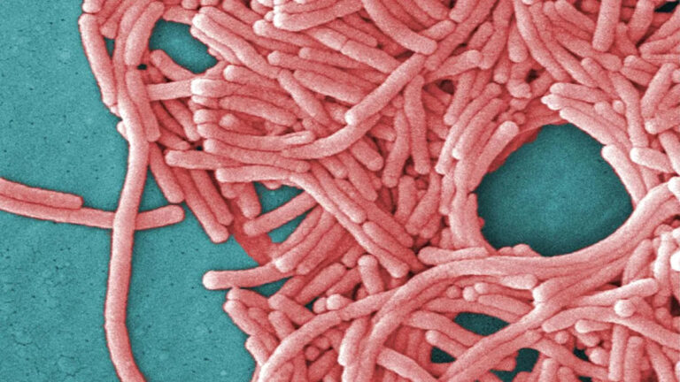 legionnaires-disease-outbreak-in-melbourne-triggers-health-alert